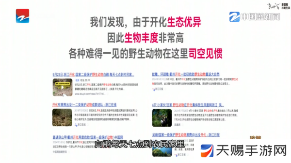 IPv6高级版电视直播