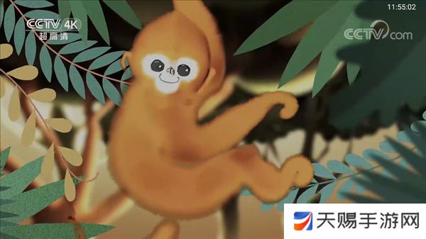 TVBox直播TV版