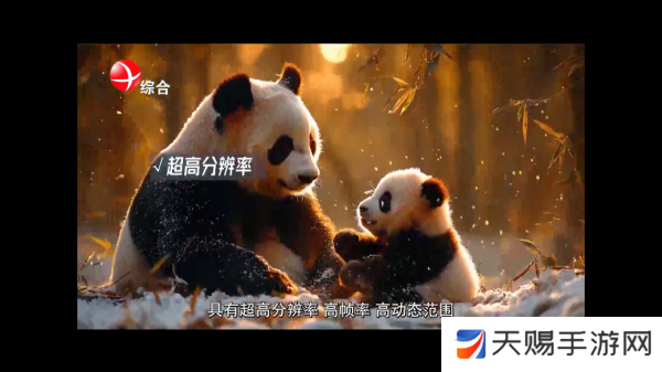 云雾TV电视安卓版