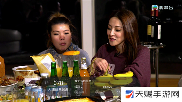 叶子TV电视手机版