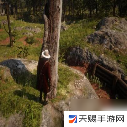 荒野大镖客2富饶地标藏宝图怎么获得