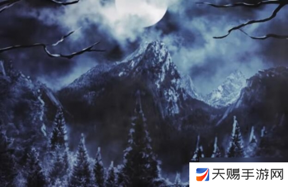 鲁大师视频7995wx到底有什么独特之处？为何让众多用户青睐？
