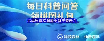 如何找到可以免费下载的二次元禁游手游网站？