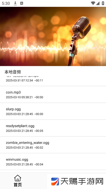 歌词适配极速版app