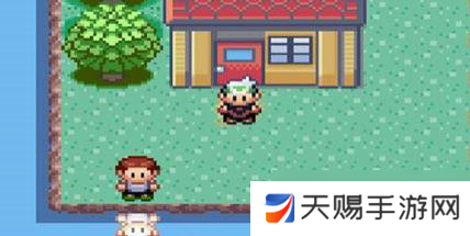 口袋妖怪绿宝石心之鳞片在哪里获得