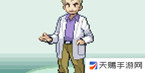 口袋妖怪绿宝石心之鳞片在哪里获得