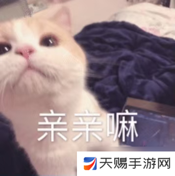 汉末霸业新手人物特技介绍:1