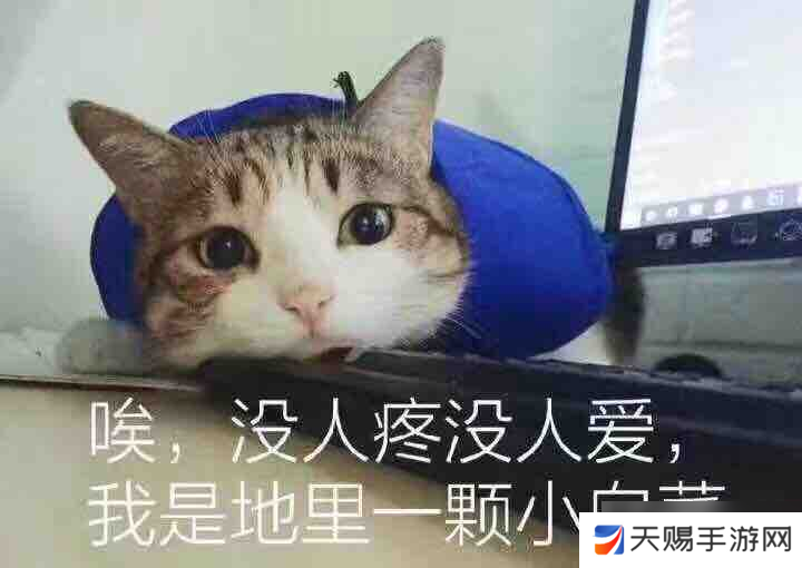 羽毛球高高手这游戏有毒+心得